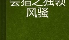 独领风骚在线观看,网络热剧背后的青春传奇